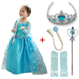 Elsa Costume Snow Queen Dress