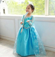 Elsa Costume Snow Queen Dress